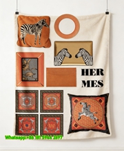 Luxury Hermès Zebra Print Flannel Throw Blanket IMG_5199